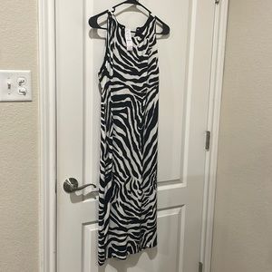 Sexy, sleeveless, medium, zebra print, WHBM dress. New with tags!